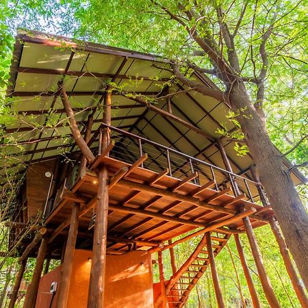 Kaala Kalaththewa Luxury Eco Resort Anuradhapura Bagian luar foto