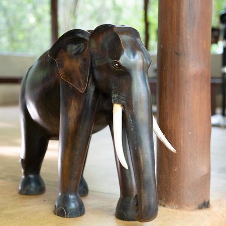 Kaala Kalaththewa Luxury Eco Resort Anuradhapura Bagian luar foto