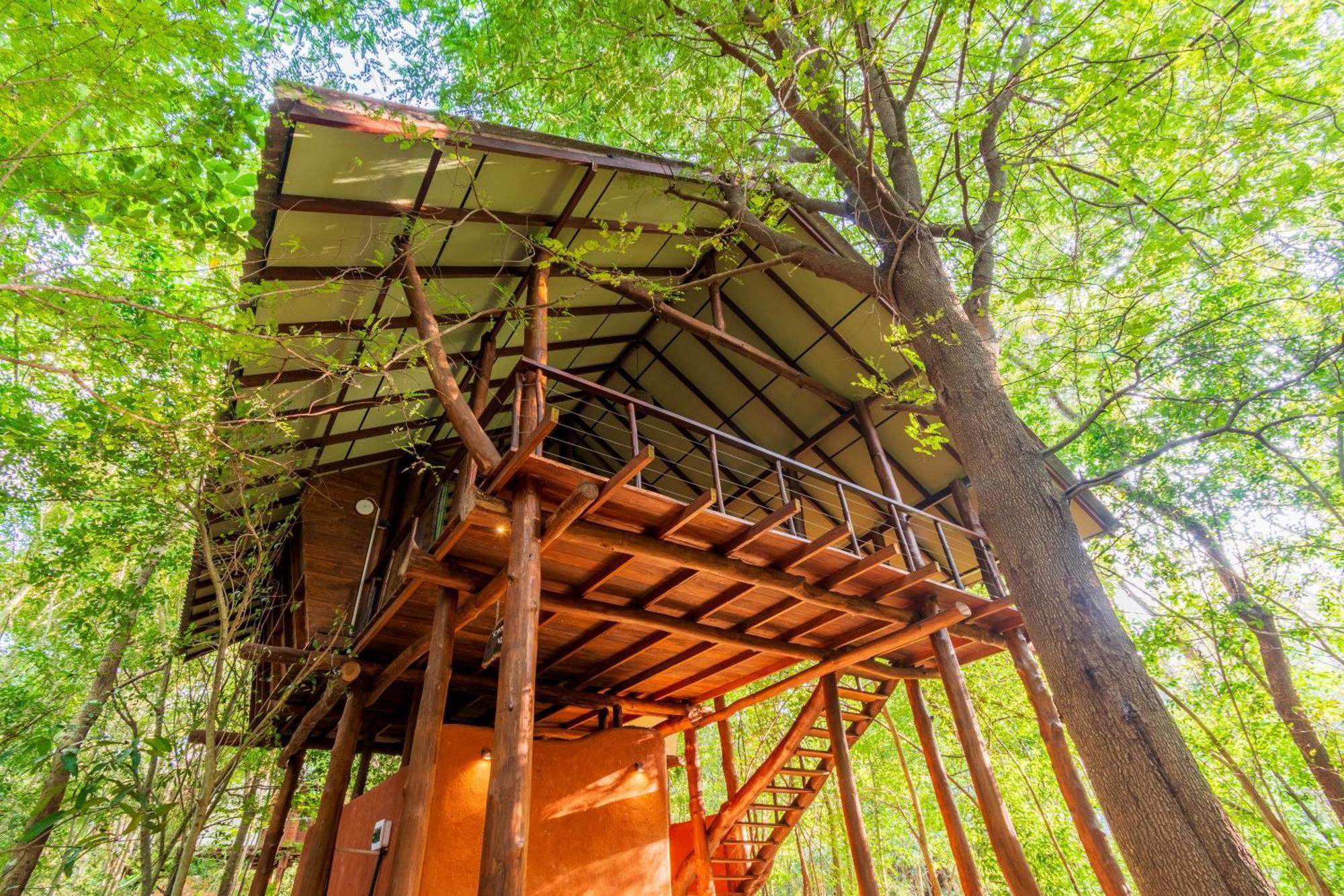 Kaala Kalaththewa Luxury Eco Resort Anuradhapura Bagian luar foto