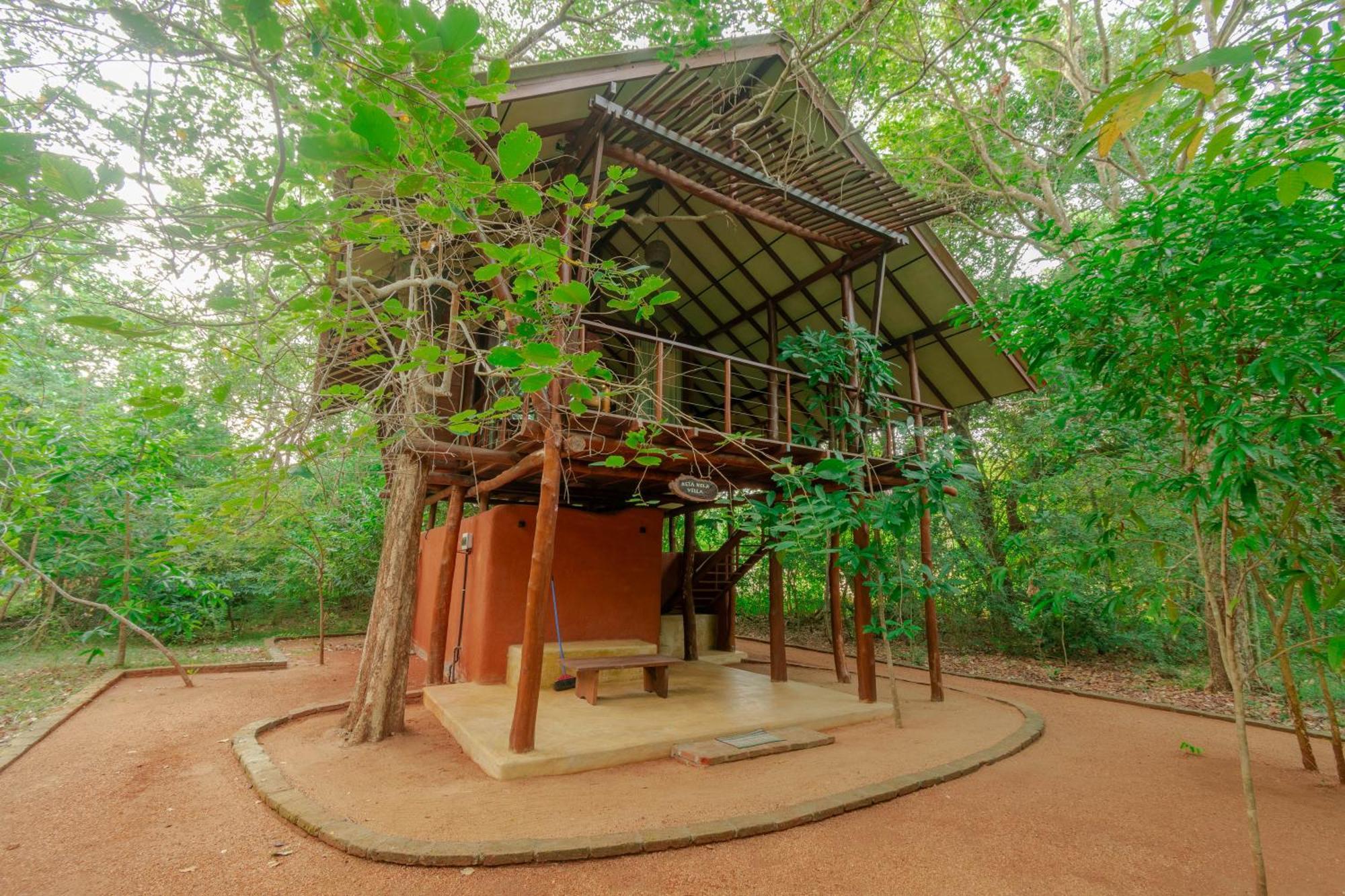 Kaala Kalaththewa Luxury Eco Resort Anuradhapura Bagian luar foto