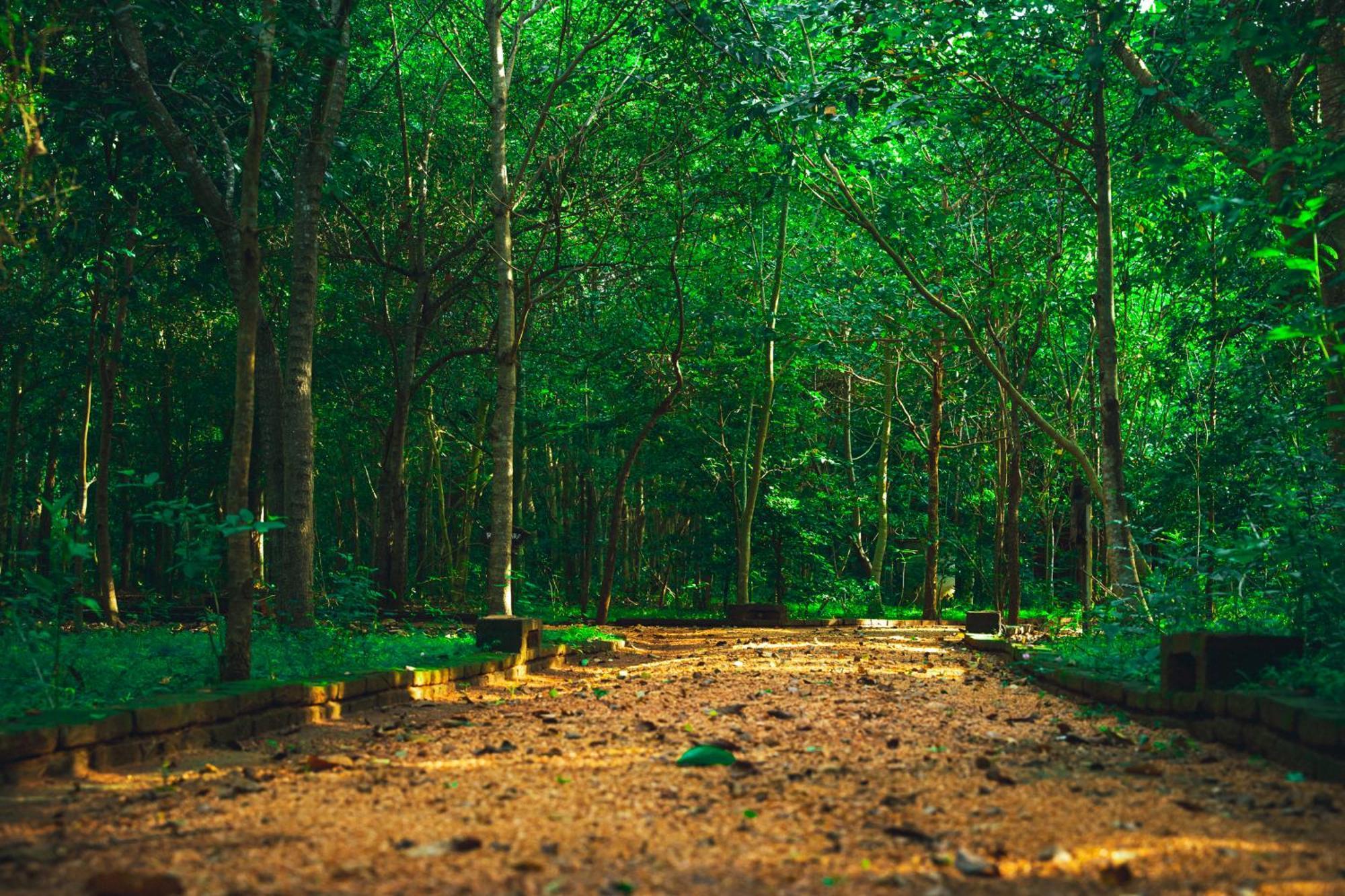 Kaala Kalaththewa Luxury Eco Resort Anuradhapura Bagian luar foto